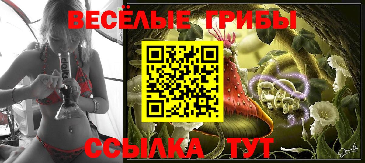 Галлюциногенные грибы прущие грибы  Вход с VPN  Галлюциногенные грибы прущие грибы  Краснотурьинск 
